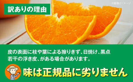 【ちょっと訳あり家庭用】せとか 約3kg  /カームシトラス[AGBW015]