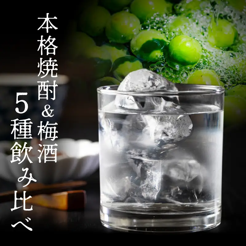 にちなん 焼酎 飲み比べ ミニボトル セット 合計5本 アルコール 国産 お酒 地酒 晩酌 芋焼酎 麦焼酎 梅酒 飲料 宅呑み 家呑み 宅飲み 希少 ロック 水割り お湯割り ソーダ割 人気 おすすめ 詰め合わせ 贈り物 ギフト 贈答 プレゼント 宮崎県 送料無料_C136-24