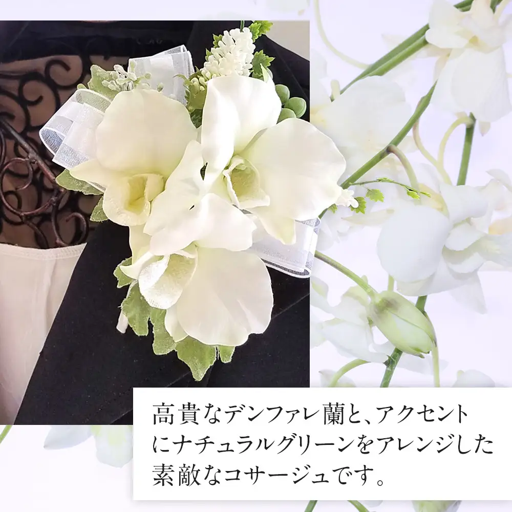 コサージュ　デンファレ　蘭　入学式　卒業式　パーティ　セミナー