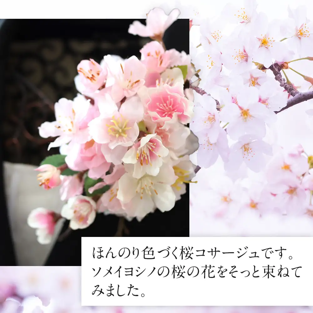 桜サクラのコサージュ　入学式　卒業式　謝恩会　袴　髪飾り