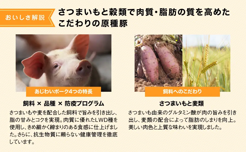 千葉県山武市産　あじわいポーク肩ロース　約2kg ／豚肉 ロース 肩ロース ポーク ブロック肉 豚ロース とんかつ ソテー ぶた肉 ブタ肉 国産 千葉県 山武市 SMBT002