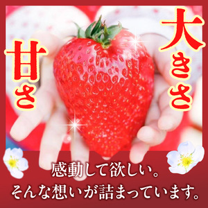 2027年2月～3月発送】贈答用：完熟「古都華」奈良ブランドいちご特大6L