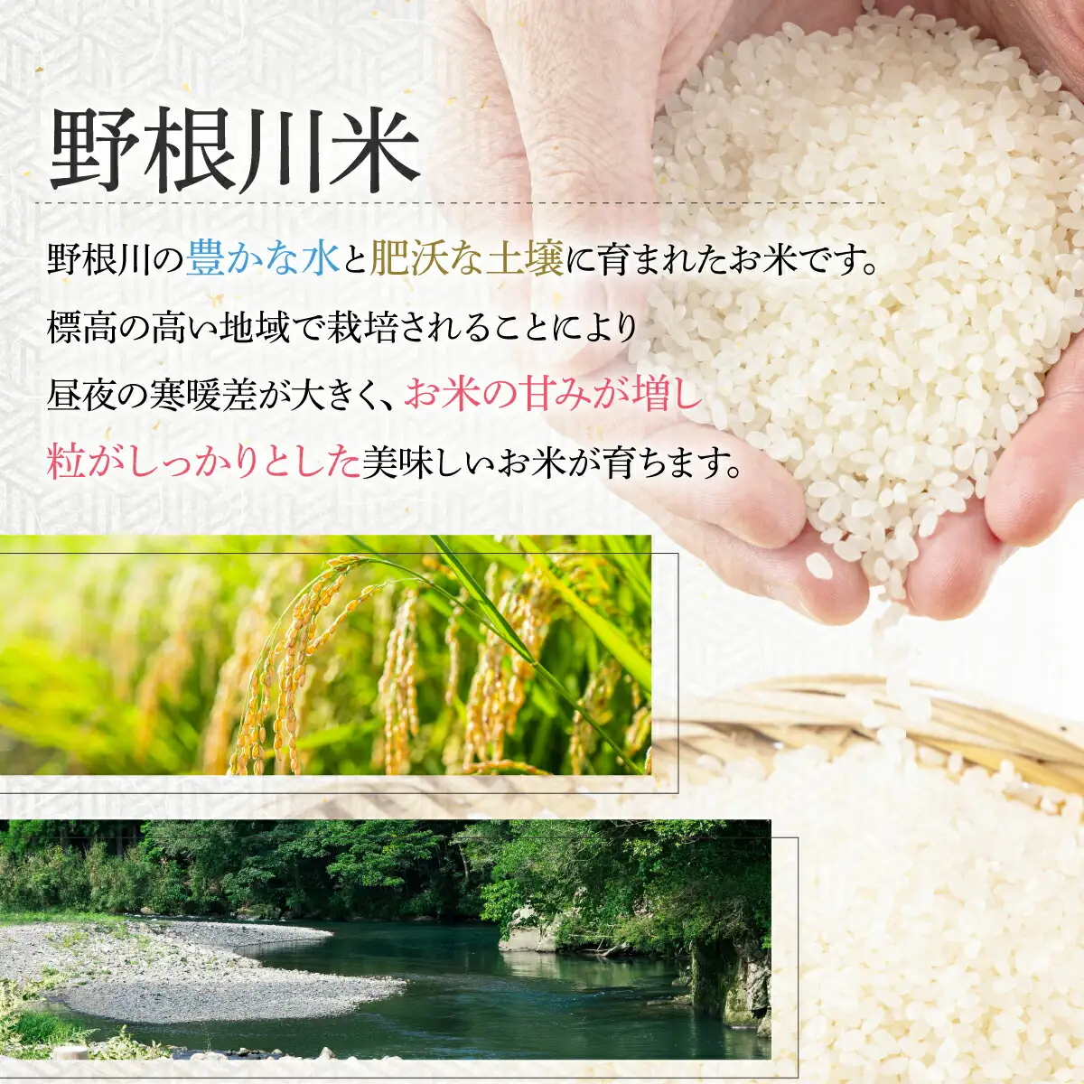 令和7年産 野根川米 5kg 米 国産 コメ【NO001】