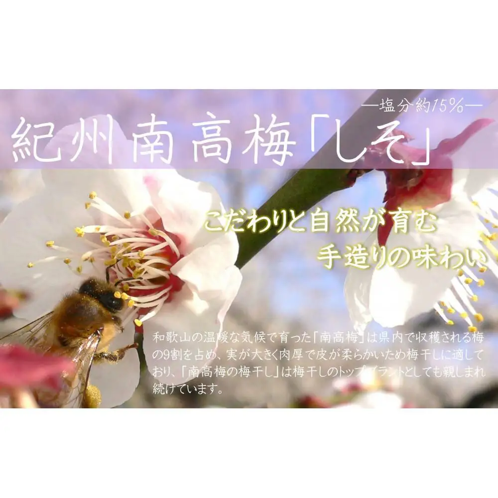 紀州南高梅 しそ 塩分約15％ 850g ［YM6］