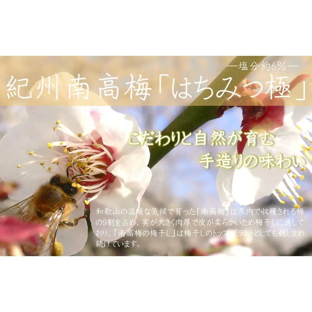 紀州南高梅 はちみつ極 塩分約6％ 850g ［YM10］