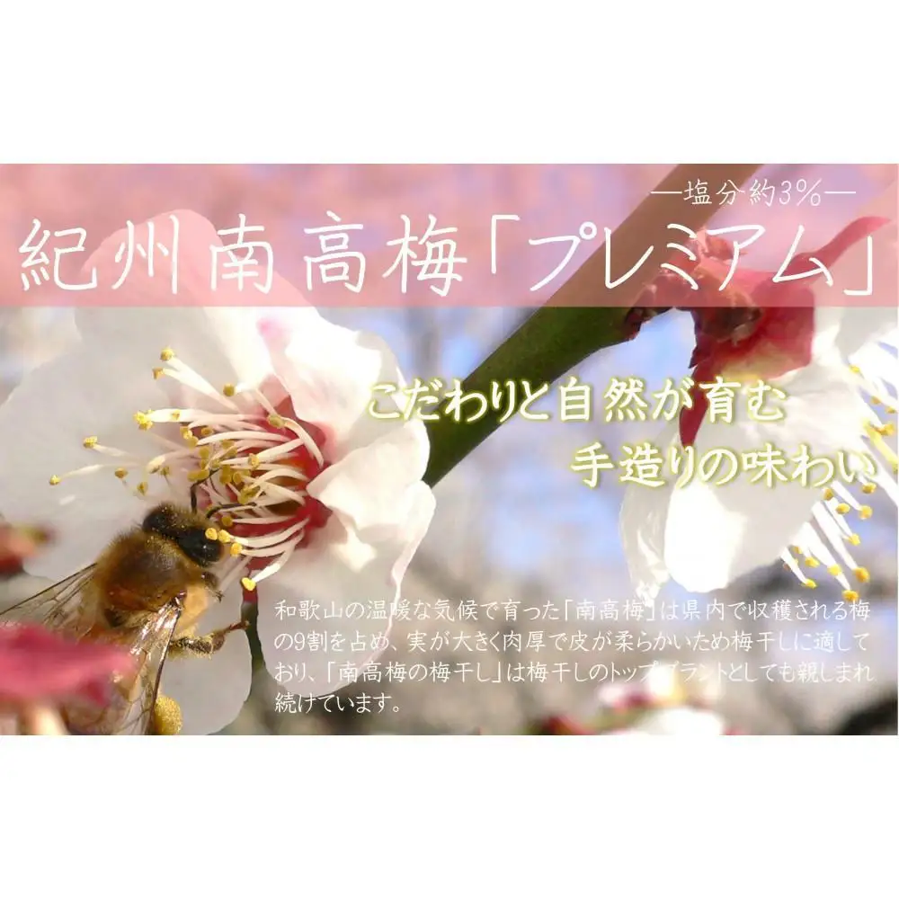 紀州南高梅 プレミアム 塩分約3％ 500g ［YM11］