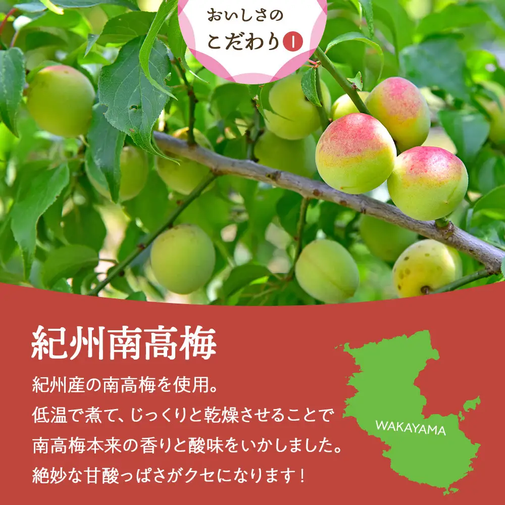 和歌山県産 ドライフルーツ 紀州南高梅 20g×6袋
