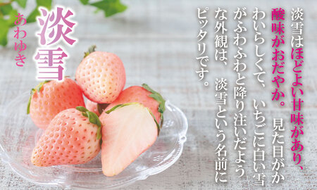 【先行予約】R9年1月中旬頃出荷開始 淡雪＆パールホワイト 各1パック 220g×2（合計440g）いちご 水田苺園 いちご B140-038