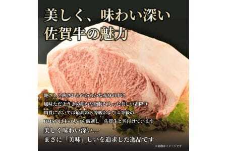 佐賀牛 訳あり Ａ4～Ａ5等級 切り落とし 400ｇ 159-J1058