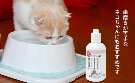 猫用歯みがきセット デンタルケア 混ぜるだけ 歯ブラシ 猫用歯みがきセット