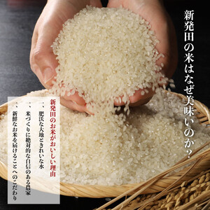 【令和6年産】 新之助 2kg  お米 新潟 新潟県 白米 米 新潟のお米 新発田のお米 こめ ご飯 ごはん 新発田産 新潟産 コシヒカリを超える旨さ 精米 ブランド watasho011