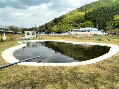 ニジマス釣り体験 | 体験 釣り 魚 ニジマス お食事付き ふるさと納税 栃木県 那珂川町 送料無料