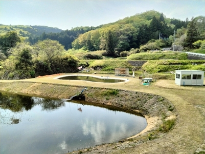 鯉と（へらぶな）釣り体験 | 体験 釣り 魚 鯉 へぶらな ふるさと納税 栃木県 那珂川町 送料無料