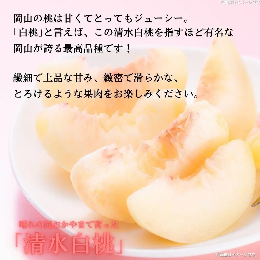【2027年先行予約】［拝郷果樹園］岡山県産 清水白桃 約1.8kg（6玉～9玉）桃 もも モモ ピーチ 白桃 完熟 朝採り 新鮮 旬 食べごろ 食べ頃 フルーツ 果物 くだもの 岡山産 産地直送 産直 特産 特産品 送料無料 食べ比べ 岡山 鏡野町