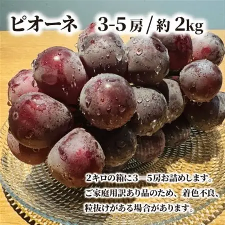 【訳あり】ピオーネ ご家庭用 3-5房入/計2kg～(岡山県産) 訳ありでもしっかり甘い!【配送不可地域：離島・北海道・沖縄県】【1535985】