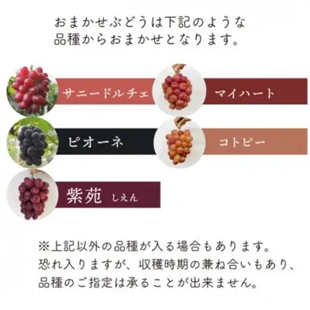 シャインマスカット＆生産者いちおし葡萄 2房入/計1.0kg～(岡山県産) おすすめ食べ比べセット!【配送不可地域：離島・北海道・沖縄県】【1553222】