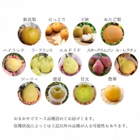 【2026年発送】上級品 5-7玉 梨好きのための、梨2-3種の食べ比べセット! (岡山県産)【1559796】