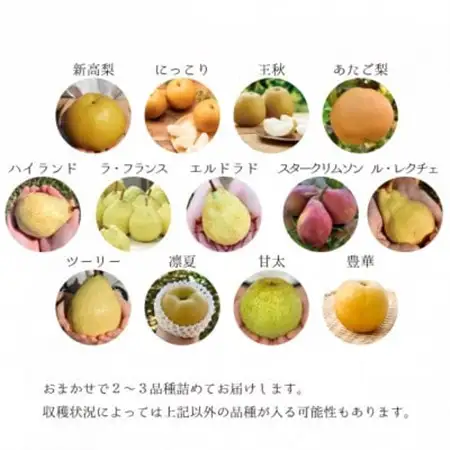 【2026年発送】ご家庭用 5-7玉 梨好きのための梨2-3品種食べ比べ (岡山県産)【1559803】