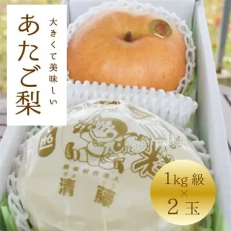 【2026年発送】あたご梨 上級品 2玉入 (1kg級/玉) (岡山県産)【1559830】