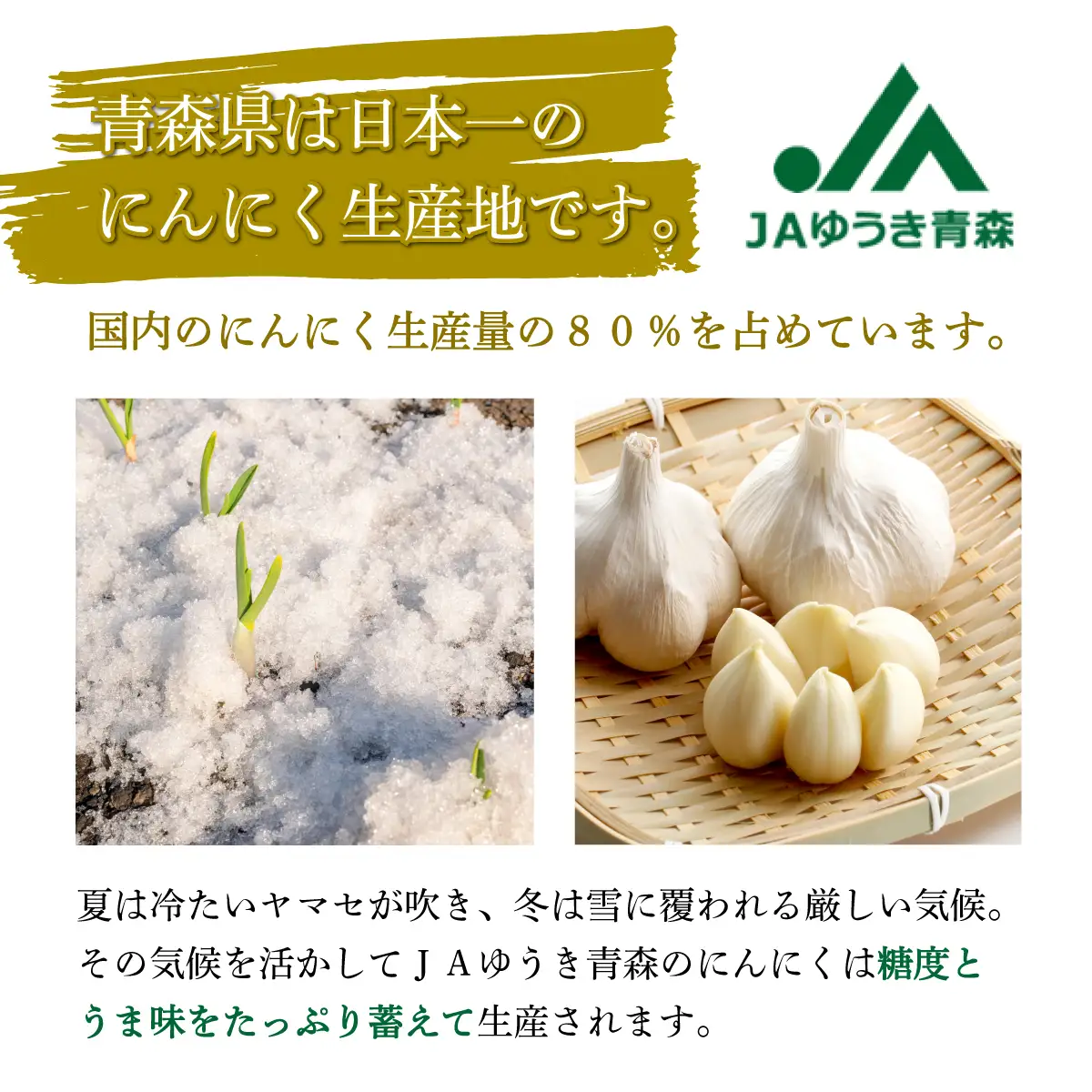 【訳あり】にんにく1kg【国産 にんにく 新鮮 野菜 長期保存 健康 贈り物 ギフト 東北 青森県 七戸町 送料無料】【02402-0331】