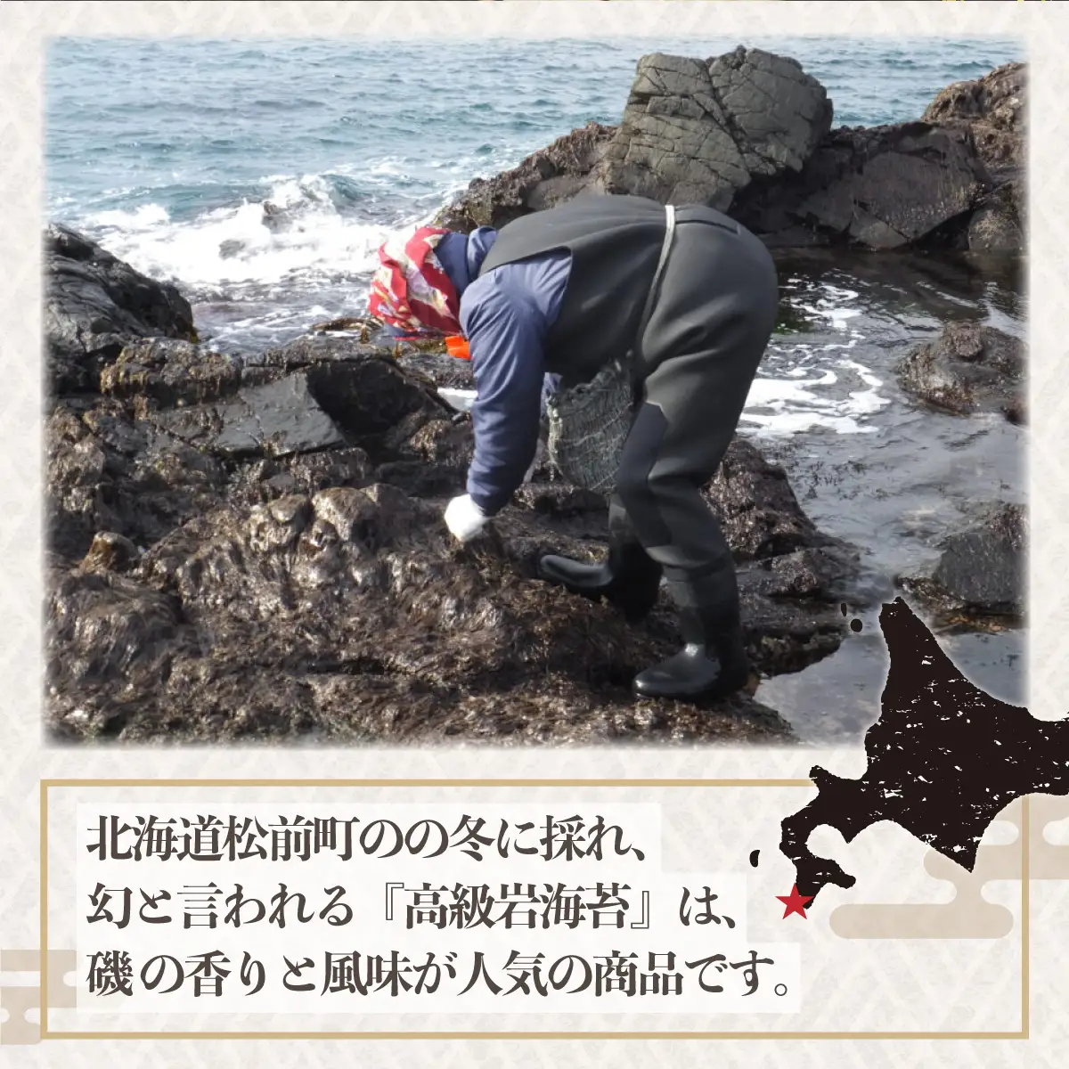 松前岩海苔 (5枚入) 2Pセット 天然 高級 幻 貴重 松前海苔 岩のり 北海道特産品 海苔 のり 海藻 ミネラル豊富 ご飯のお供 手摘み 高品質 名産 お取り寄せ おにぎり 手巻き寿司 のり弁当 北海道 松前町 MATE004