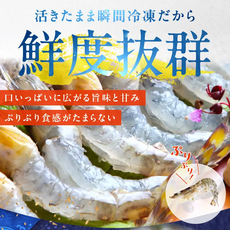 【訳あり】泉州車えび 300g TVで紹介【先行予約】