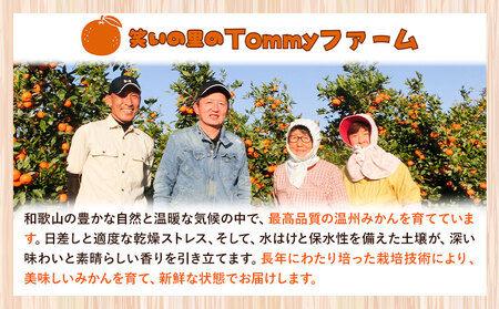 八朔 贈答用 ハッサク 約5kg