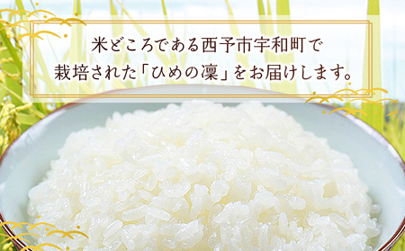 ＜愛媛県推進米 ひめの凜 約5kg＞ 5kg お米 コメ こめ 白米 精米 ご飯 ライス 穀物 ひめのりん ヒメノリン ヒメノ凜 ブランド米 大粒 ツヤツヤ 特産品 愛媛県産 西予市産 宇和町産 三好フク 愛媛県 西予市 【常温】『1か月以内に順次出荷予定』UMH0008