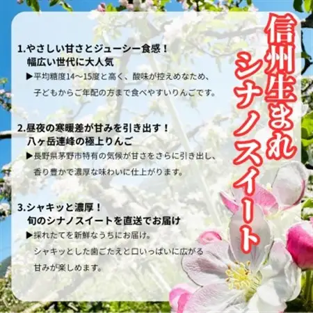 【2026年先行受付】長野直送!信州八ヶ岳のりんごシナノスイート約5kg(12～18玉)蓼科高原_果物・フルーツ りんご  リンゴ 林檎_【配送不可地域：離島】【1605264】