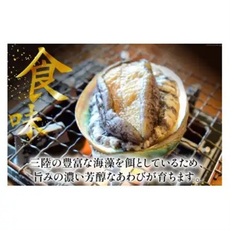 三陸産　天然蝦夷あわび(冷凍)約1kg　6～8個(捌き方・レシピ付き)_魚介・海産物 鮑（アワビ） 貝 あわび_【配送不可地域：離島】【1589193】