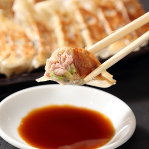 餃子研究所　肉餃子×6パック (a11-148)