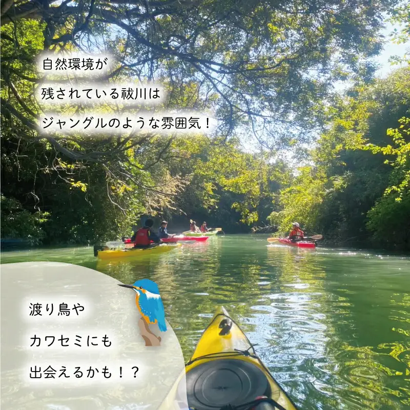 明和町・祓川 ジャングル クルーズ 【カヤック 体験 2時間】 3名様　カヌー ツアー アウトドア レジャー キャンプ スポーツ 観光 旅行 家族 ファミリー アクティビティ 自然 川