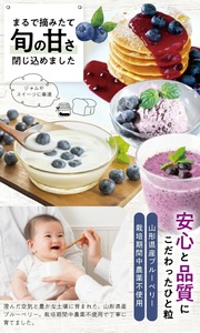 冷凍ブルーベリー1.5kg(500g×3袋) 山形県産 冷凍便 ※離島発送不可 冷凍 冷凍フルーツ ブルーベリー フルーツ ジャム ジュース スムージー 小分け お菓子作り ゆざ食彩工房 遊佐町 庄内 東北 [1430BB1500G]