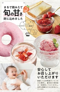 冷凍いちご1.0kg(500g×2袋) 山形県産 冷凍便 ※離島発送不可 冷凍 冷凍フルーツ いちご イチゴ 苺 サマーティアラ フルーツ ジャム ジュース スムージー 小分け お菓子作り ゆざ食彩工房 遊佐町 庄内 東北 [1431IC1000G]