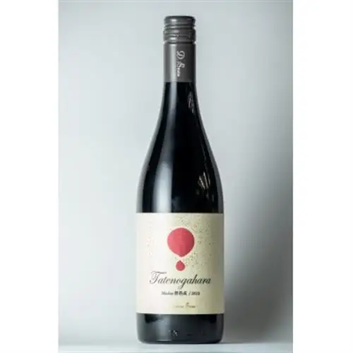【ワインコンクール受賞】Domaine Beau 「南砺市産のぶどう」立野原ワイン5本セット_酒・アルコール 白ワイン ワイン   酒・アルコール 赤ワイン ワイン   酒・アルコール  ワイン _【配送不可地域：離島】【1572051】