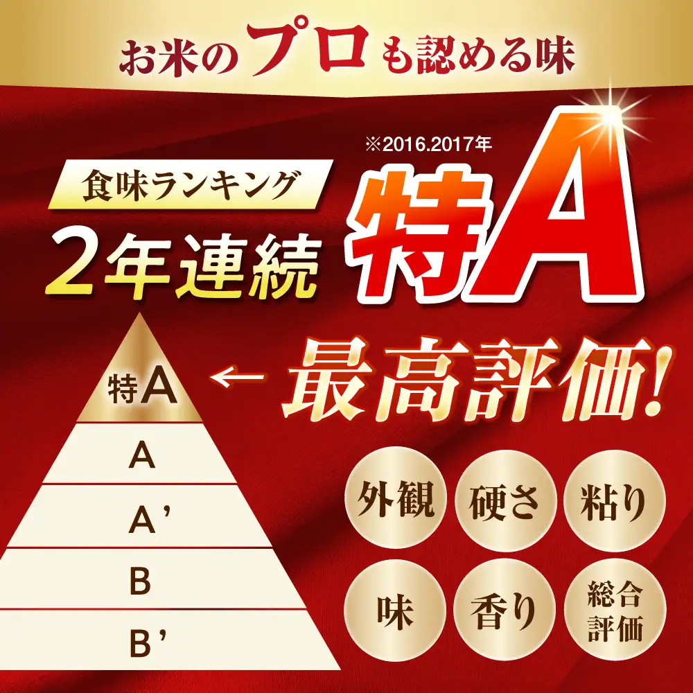 【先行予約】【遠藤ファーム】 はるみ 新米 新米 20kg 令和8年産  [BDAF003]