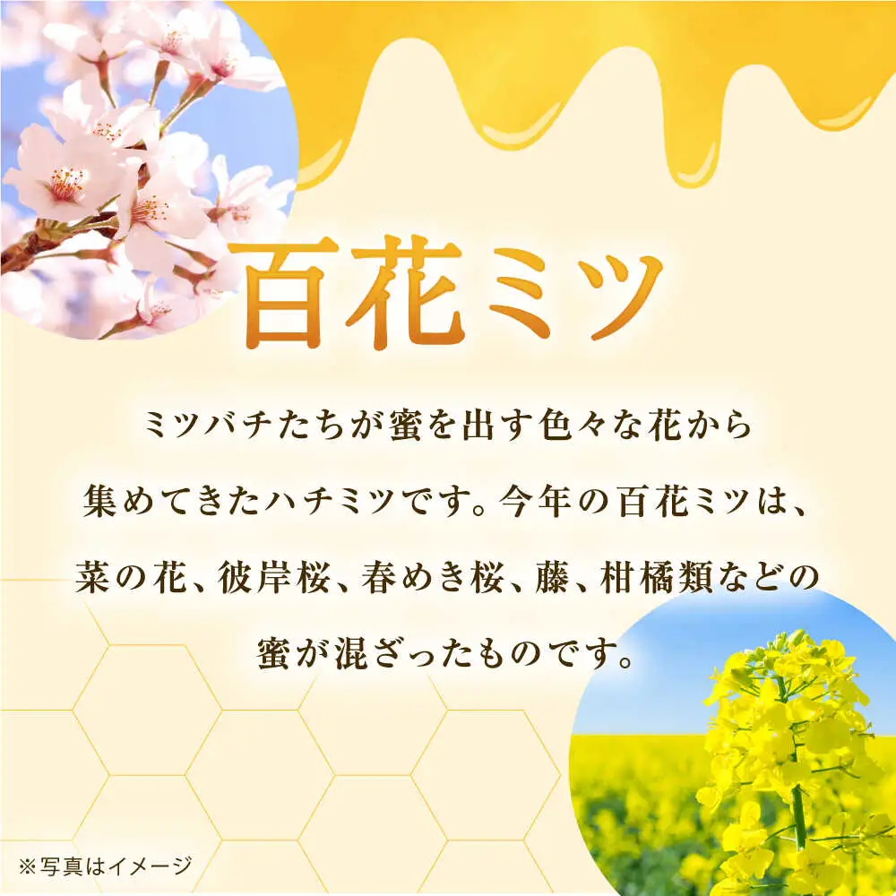 百花はちみつ 140g はちみつ [BDAO001]
