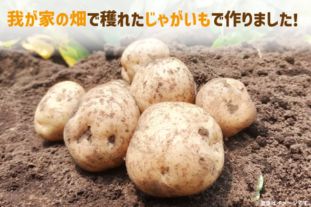 【期間限定発送】 ポテトチップス うすしお 100g 12袋入 ポテトぷっちーな