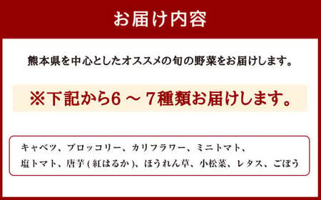 くまもと旬の野菜セット【2027年1月上旬発送開始】 キャベツ ブロッコリー トマト 芋 ほうれん草 小松菜 レタス ごぼう 野菜 サラダ 詰め合わせ セット 新鮮