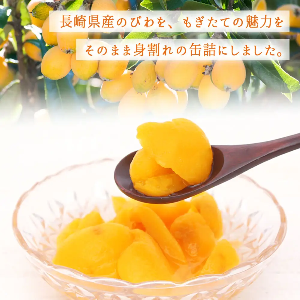 びわ缶詰身割れ 12缶入 枇杷 ビワ 007-030