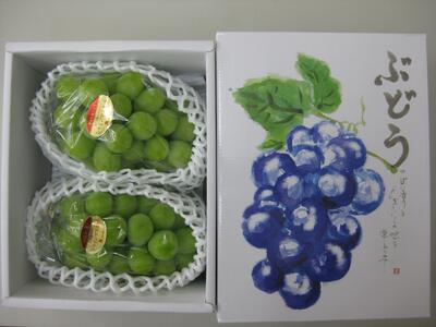 シャインマスカット 約1kg (2房) 化粧箱入り