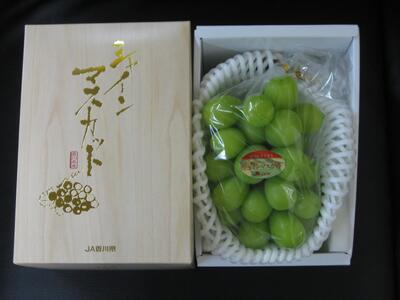 シャインマスカット 約550g (1房) 化粧箱入り