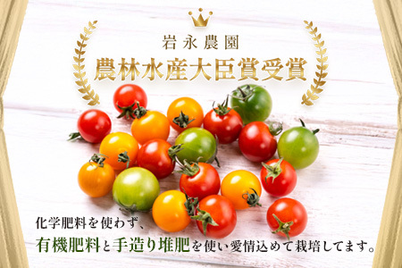 ＼農林水産大臣賞受賞／岩永さんちのトマト 【カラフルミニトマト5色 約1kg】【生産者直送】化学肥料不使用  有機栽培 手造り堆肥 甘い フルーティ お弁当 サラダ おやつ 健康 安心安全 ふるさと納税   B-823