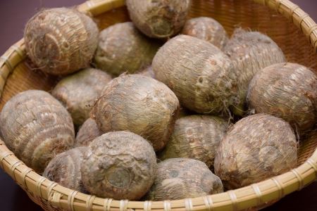 聖籠産 砂里芋（さりいも）3L 5kg【JA北新潟ブランド里芋】2026年10月下旬～順次発送