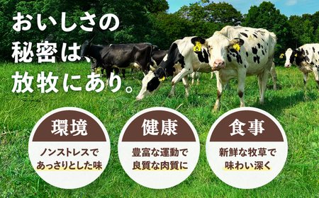 【先行予約】サラダビーフ バラ スライス 300g×3【11月中旬以降発送】サラダビーフ [BEAH006]