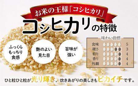 【先行予約】【令和7年産 新米】福井県大野市産 JGAP認証 コシヒカリ「あかね」（玄米）10kg