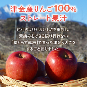 八ヶ岳南麓津金りんごジュース 1,000ml 2本入り [h337]