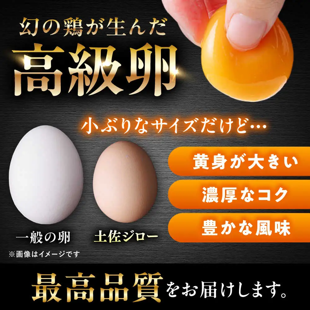 土佐ジロー鶏卵 20個 （10個×2パック）/ 高知 土佐 土佐ジロー 卵 たまご 玉子 鶏卵 卵焼き たまご焼き 玉子焼き 目玉焼き 生卵 卵かけご飯 TKG ギフト 贈り物 【とさやま養鶏場】[ATHB001]