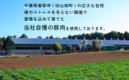 【訳あり】千葉県香取市産三元豚　粗挽きハーブフランクフルト 20本セット(総重量1.2kg)   / 三元豚 ハーブ フランクフルト 粗挽き 粗挽 ソーセージ あらびき 国産 豚肉 おかず つまみ バーベキュー アウトドア キャンプ パーティー お取り寄せ 千葉県 香取市 JLB001