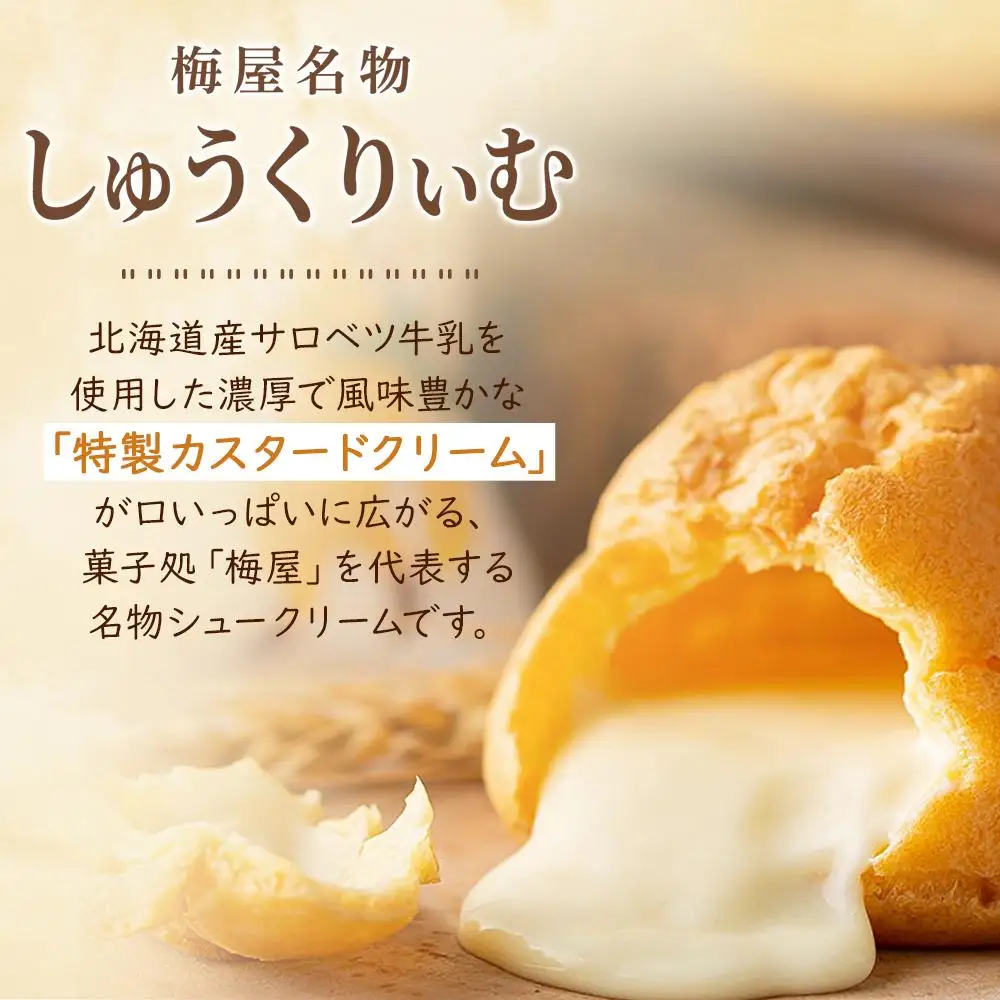 【定期便】梅屋名物「しゅうくりぃむ」　12個　（3回隔月発送） 【 シュークリーム 菓子 お菓子 おかし スイーツ デザート 洋菓子 旭川 北海道 人気 お楽しみ セット 食品 】_04856